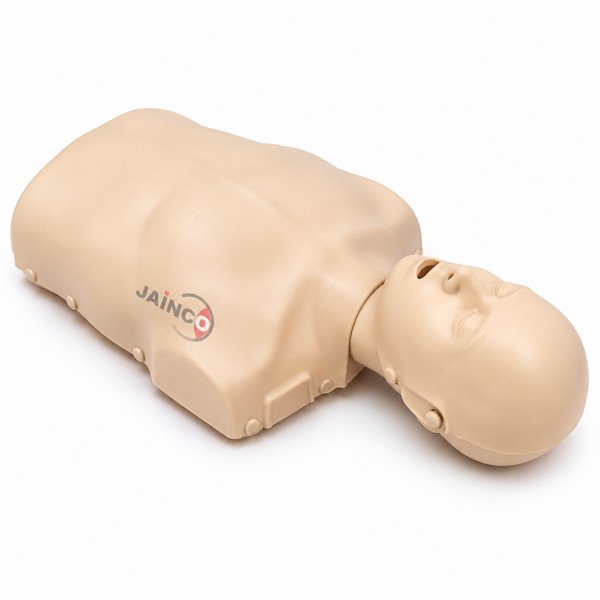 CPR Training Manikin (Adult)